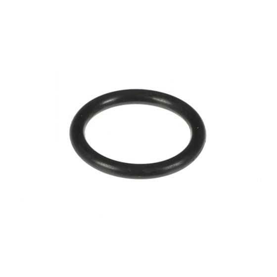 O-Ring 30000251